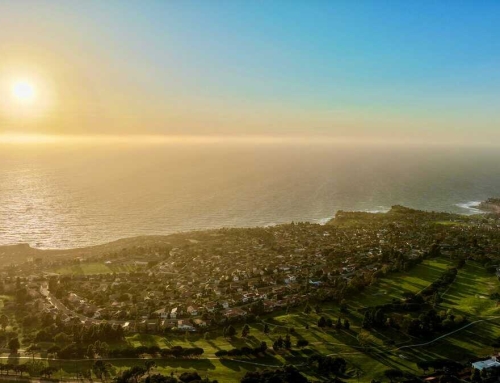 Local Real Estate Trends: 2025 Mid-Year Market Review