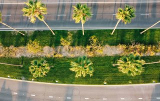 Guide to Selling and Buying in San Pedro RPV