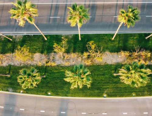 The Real Estate Two-Step: A Guide to Selling and Buying in San Pedro & RPV